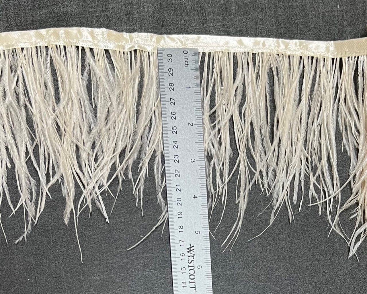 Ostrich Feather Trim Fringe / Sold by the Yard - Assorted Colors – Creative  Fabrics LA